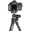 Sunwayfoto Geared Head incl. QR Plate GH-PRO II