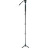 Sirui Monopod P-424FL + VH-10 Head