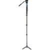 Sirui Monopod P-424FS + VH-10 Head