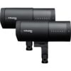 Profoto D30 Duo Kit