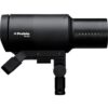 Profoto Pro-D3 750