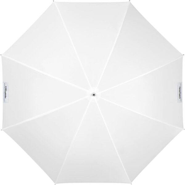 Profoto Umbrella Shallow Translucent S