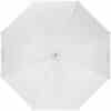 Profoto Umbrella Shallow Translucent M