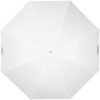 Profoto Umbrella Shallow Translucent M