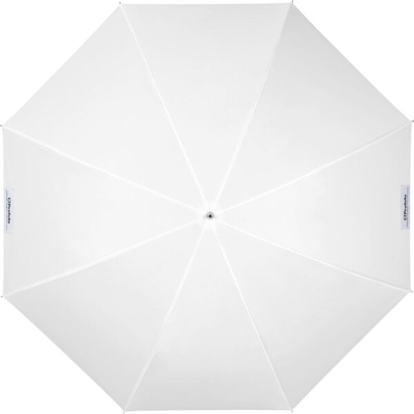 Profoto Umbrella Shallow Translucent M