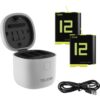 Telesin Allin Charger Box + 2x accu - GoPro Hero 9/10/11/12