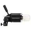 Profoto ProHead Plus UV 250W with Zoom Reflector