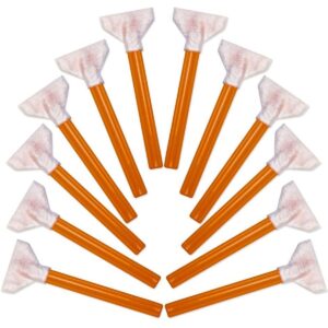 VisibleDust Dhap orange swabs m format