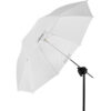 Profoto Umbrella Shallow Translucent M