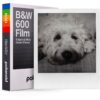 Polaroid Originals B&W instant film for 600