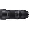 Sigma 100-400mm F5-6.3 DG OS HSM (C) Sony Full frame