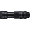 Sigma 100-400mm F5-6.3 DG OS HSM (C) Sony Full frame