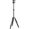 Sirui Traveller 5CX + B-00K head