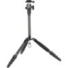Sirui Traveller 5CX + B-00K head