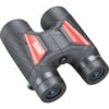 Bushnell Spectator Sport 10x40 black. roof permafocus