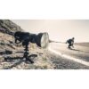 Profoto Zoom Reflector - Zilver