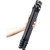 FALCAM Treeroot Quick Lock Travel Tripod (R141K-320p)