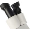 Byomic Stereo Microscoop BYO-ST3