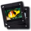 1x100 Kaiser CAM/CS Slide Mounts 2156