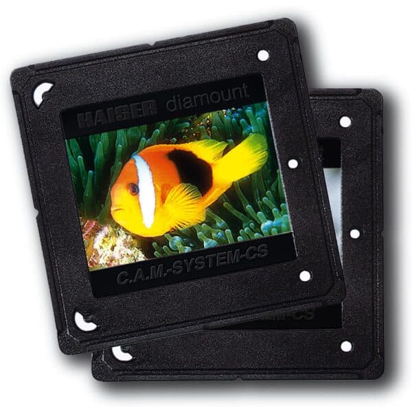 1x100 Kaiser CAM/CS Slide Mounts 2156