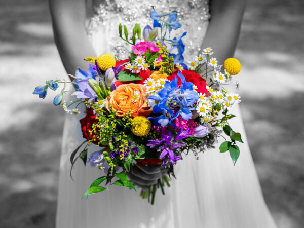 Cursus Photoshop voor beginners