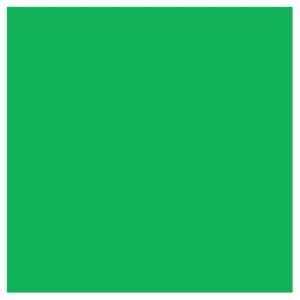 Superior Achtergrondpapier 54 Stinger Chroma Key 2,72 x 11m