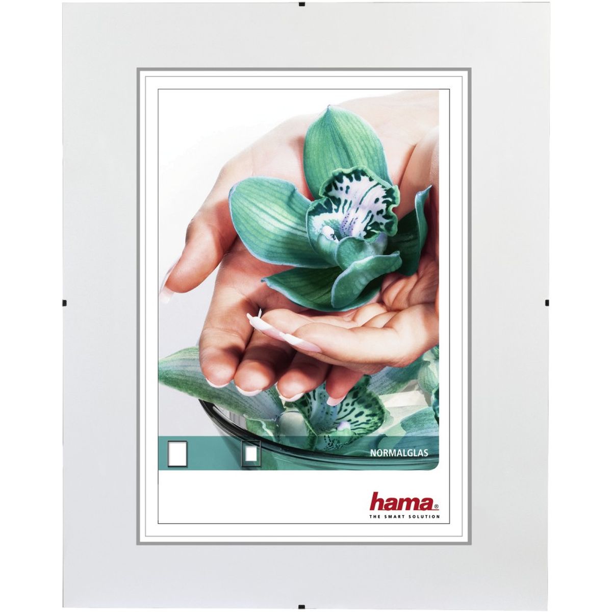 Hama Clip-fix normal glass 10