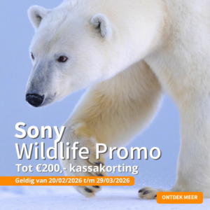 Sony Wildlife Promo