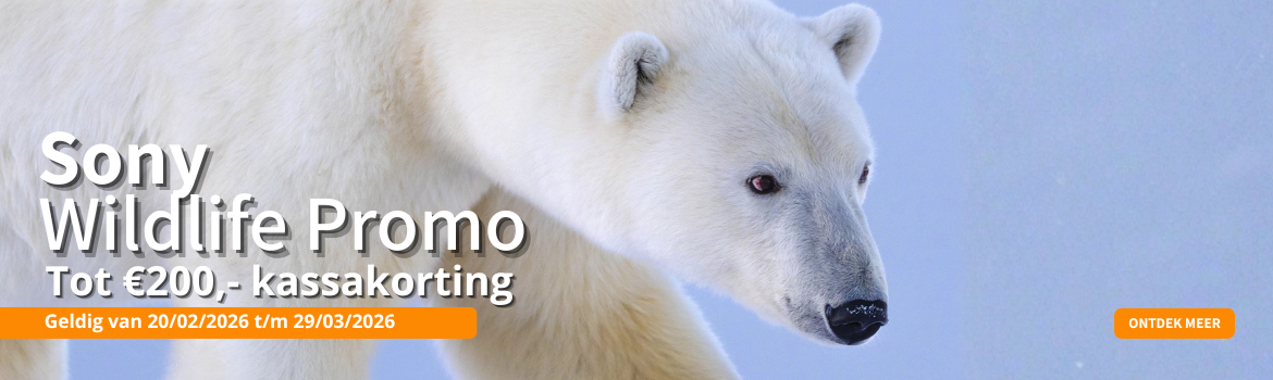 Sony Wildlife Promo