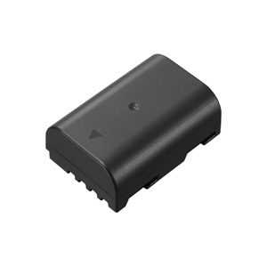 Panasonic DMW-BLF19E Accu-