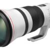 Canon EF 600mm f/4L IS III USM