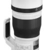Canon EF 600mm f/4L IS III USM