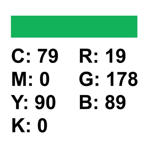 FE Achtergrondpapier 46 138cm X 11Mtr Chroma green
