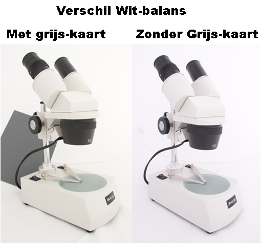 FE Grijskaarten 1x A5, 1x 10x15 + Instructie CD