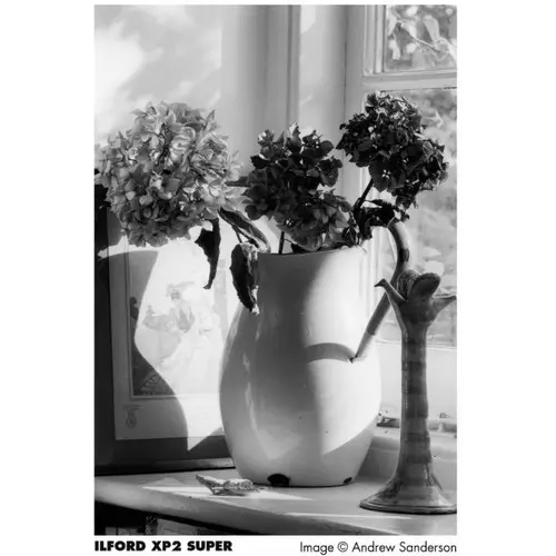 Ilford XP2 Super 135 / 36 1 cassette