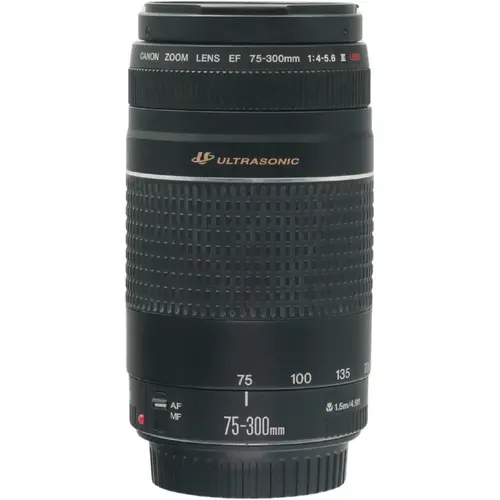 Canon EF 75-300mm f/4.0-5.6 III USM