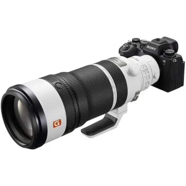 Sony FE 100-400 mm f/4.5 GM OSS