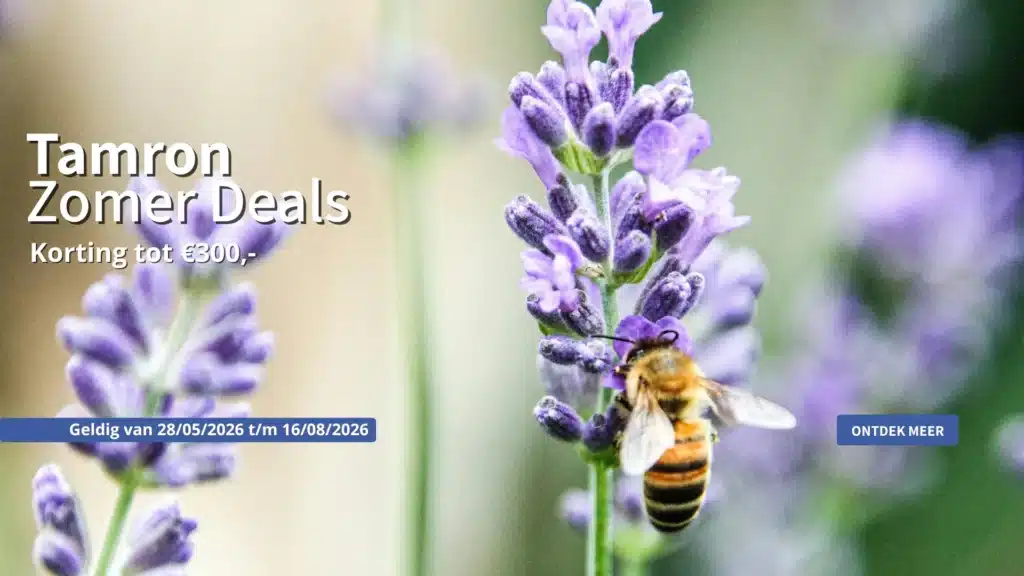 Tamron Zomer Deals
