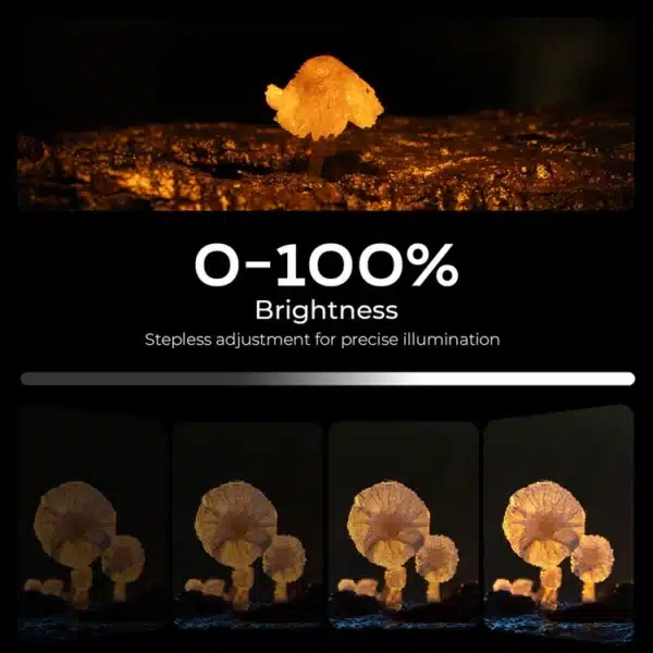 SmallRig 6225 RM 01B Macro Photography LED Light