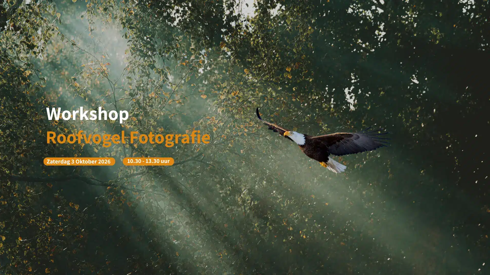 Masterclass Flitsen met profoto