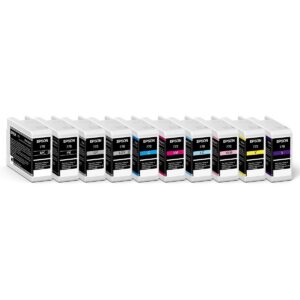 Epson Singlepack Light Grey T46S9