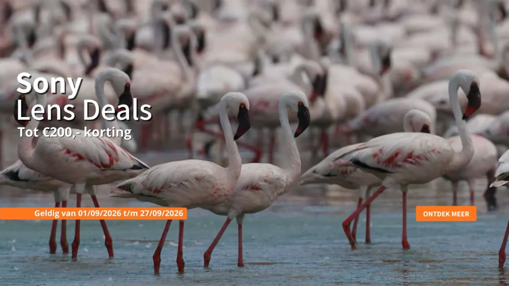 Sony Lens Deals