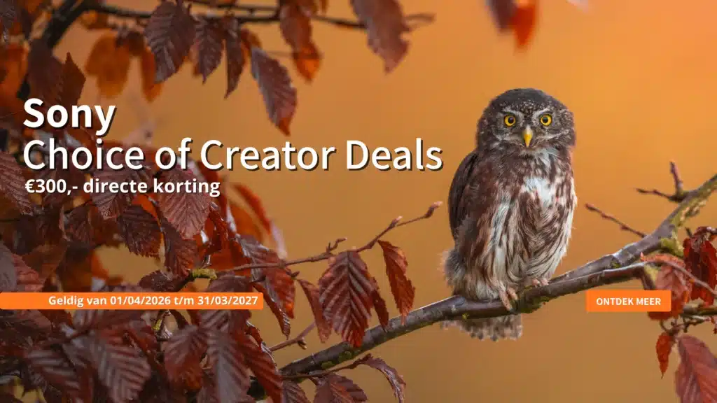 Sony Choice of Creator Deals