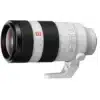 Sony FE 100-400 mm f/4.5-5.6 GM OSS