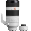 Sony FE 100-400 mm f/4.5-5.6 GM OSS + Sony SEL 2.0x TC converter E-mount
