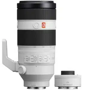 Sony FE 100-400 mm f/4.5-5.6 GM OSS + Sony SEL 2.0x TC converter E-mount