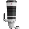 Sony FE 100-400 mm f/4.5 GM OSS + Sony SEL 1.4x TC converter E-mount