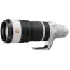 Sony FE 100-400 mm f/4.5 GM OSS + Sony SEL 2.0x TC converter E-mount