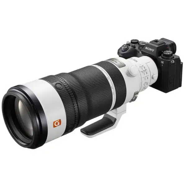 Sony FE 100-400 mm f/4.5 GM OSS + Sony SEL 2.0x TC converter E-mount
