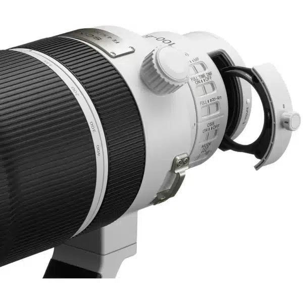 Sony FE 100-400 mm f/4.5 GM OSS + Sony SEL 2.0x TC converter E-mount
